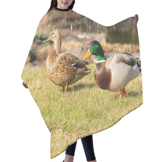 Personality  Two Ducks Walk On The Grass In The Background Of The Lake Hair Cutting Cape
