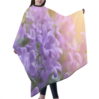 Personality  My Favorite Flowers. Hair Cutting Cape