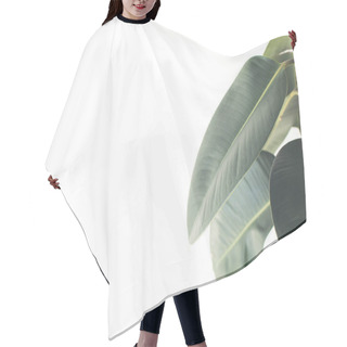 Personality  Green Ficus Leaves Hair Cutting Cape