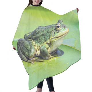 Personality  Marsh Frog On The Lake Hair Cutting Cape