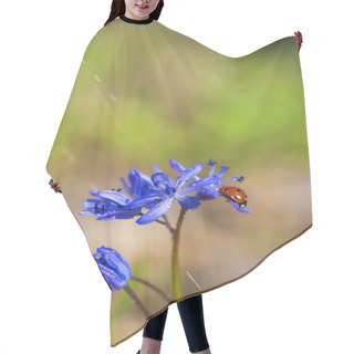 Personality  Single Ladybug On Violet Bellflowers In Spring During Rain Hair Cutting Cape