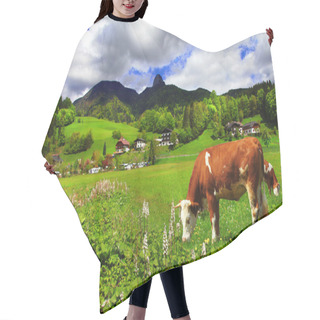 Personality  Green Meadows Hair Cutting Cape