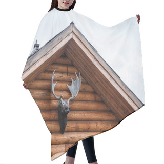 Personality  Daxinganling Mohe, Heilongjiang Province Arctic Village Arctic North National Park Christmas Village House Red Deer Head Ornaments Hair Cutting Cape