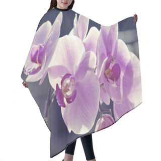 Personality  Pink Orchid Hair Cutting Cape