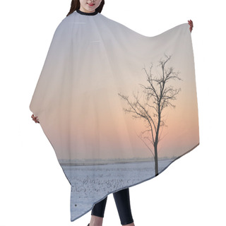 Personality  Winter Landscape Hair Cutting Cape