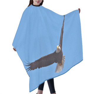 Personality  Bald Eagle In Flight Hair Cutting Cape