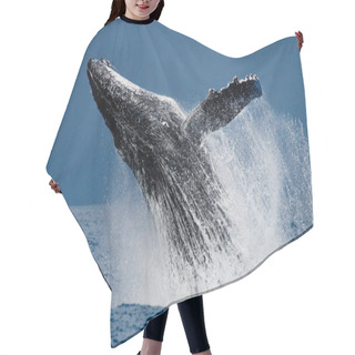 Personality  Humpback Whale Jumping Out Of The Water Hair Cutting Cape