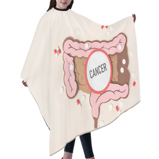 Personality  Top View Of Human Large Intestine, Various Pills And Lettering Cancer On Beige Hair Cutting Cape