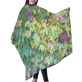 Personality  Hedge With Leaves Changing Color Hair Cutting Cape