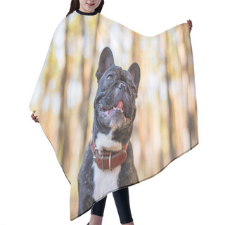 Personality  Bulldog In The Forest Hair Cutting Cape