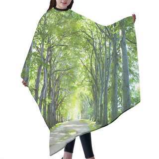 Personality  The Way In Forest Hair Cutting Cape