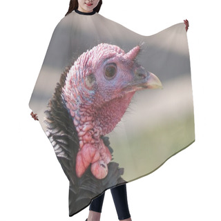 Personality  Wild Turkey - Meleagris Gallopavo Hair Cutting Cape