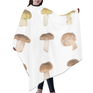 Personality  Different Types Of Mushrooms Hair Cutting Cape
