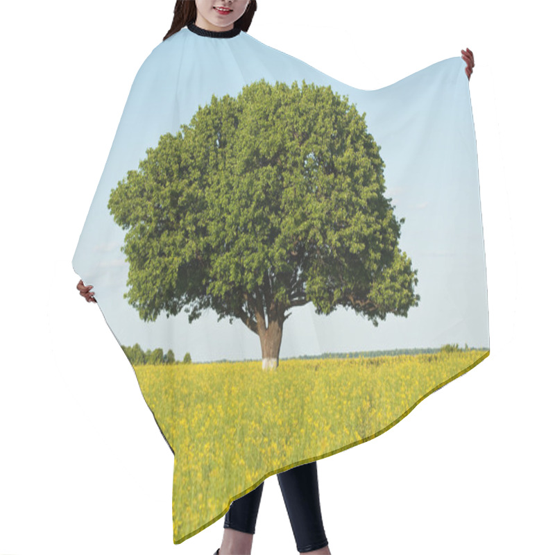 Personality  Single Tree In Canola Field Hair Cutting Cape