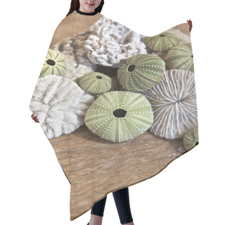 Personality  Sea Urchins Hair Cutting Cape