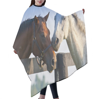 Personality  Two Loving Horses Hair Cutting Cape