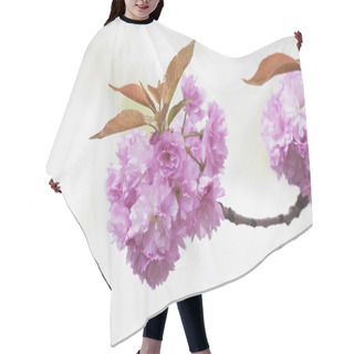 Personality  Pink Cherry Blossoms Hair Cutting Cape