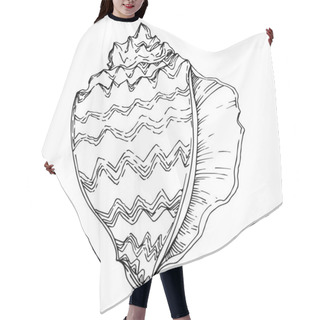 Personality  Vector Summer Beach Seashell Tropical Elements. Black And White  Hair Cutting Cape