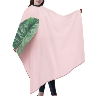 Personality  Flat Lay With Green Beautiful Palm Leaf On Pink, Minimalistic Concept  Hair Cutting Cape