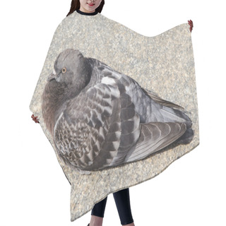 Personality  Gray Dove Hair Cutting Cape