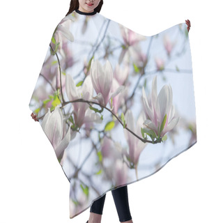 Personality  Pink Magnolia Flowers On Spring Twigs Hair Cutting Cape