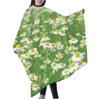 Personality  Chamomile Hair Cutting Cape