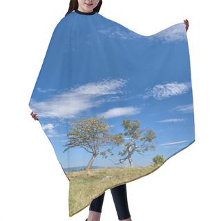 Personality  Two Trees On The Hill Hair Cutting Cape