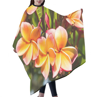 Personality  Lan Thom Flower Hair Cutting Cape