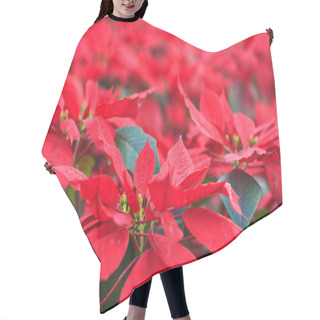 Personality  Christmas Flowers Hair Cutting Cape
