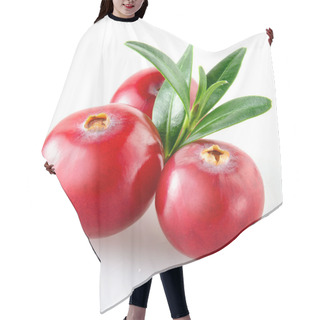 Personality  Cranberry With Leaf On White Background Hair Cutting Cape