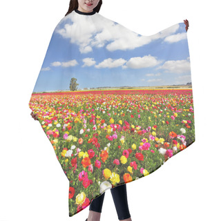Personality  The Field, Blooming Colorful Garden Buttercups Hair Cutting Cape