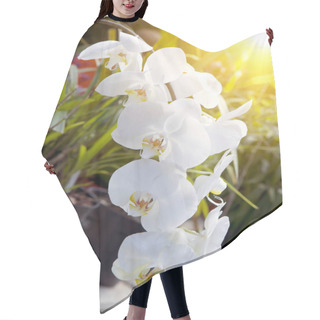Personality  Branch Of Blooming Orchid Hair Cutting Cape