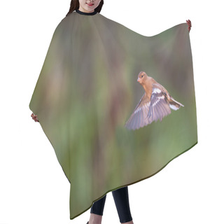 Personality  Flying Chaffinch Hair Cutting Cape