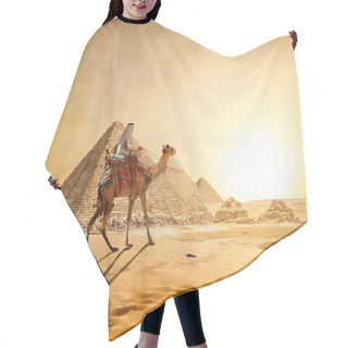 Personality  Camel In Sandy Desert Hair Cutting Cape