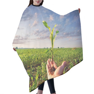 Personality  Corn Plant Hair Cutting Cape
