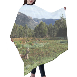 Personality  Paddock With Kangaroos And Surrounding Hills In Halls Gap Valley Hair Cutting Cape