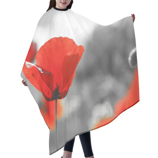 Personality  Closeup Of Red Poppy On Black And White Background Hair Cutting Cape