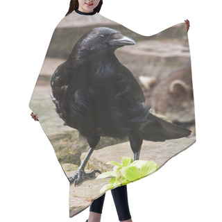 Personality  Black Crow Hair Cutting Cape