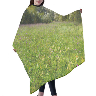 Personality  Meadow Of The Purple Wild Thistle Flowers Hair Cutting Cape