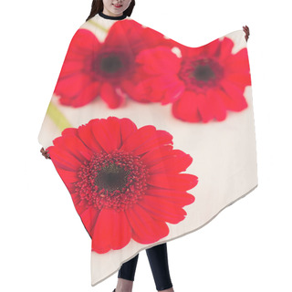 Personality  Gerber Flowers On A Wooden Surface Hair Cutting Cape