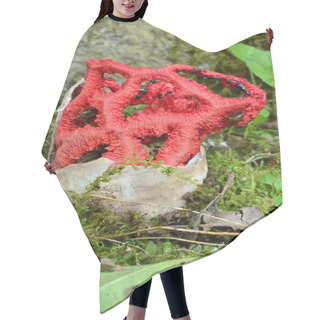 Personality  Red Cage Mushroom Hair Cutting Cape
