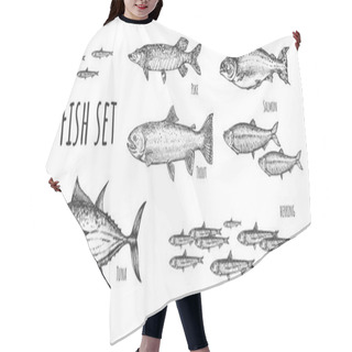 Personality  Big And Small Sea Fish Of Different Kinds  Hair Cutting Cape