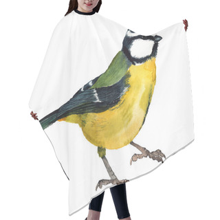 Personality  Watercolor Eurasian Blue Tit  Hair Cutting Cape