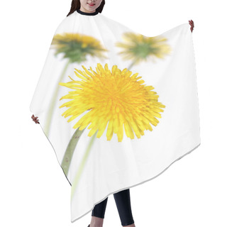 Personality  Dandelions (taraxacum Officinale) Hair Cutting Cape