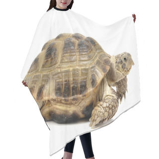 Personality  Reptile Turtle Hair Cutting Cape