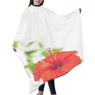 Personality  Hibiscus Hair Cutting Cape