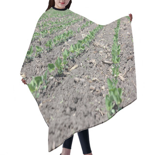 Personality  Soybeans Rows Hair Cutting Cape