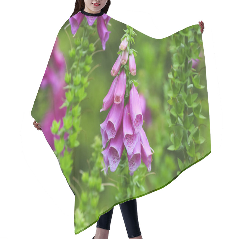 Personality  Blooming Medical Plant Foxglove ( Digitalis Purpurea) On The Green Background Hair Cutting Cape