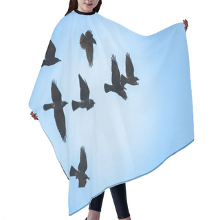 Personality  Flying Rooks And Jackdaws Hair Cutting Cape