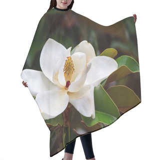Personality  Southern Magnolia Blossom Hair Cutting Cape